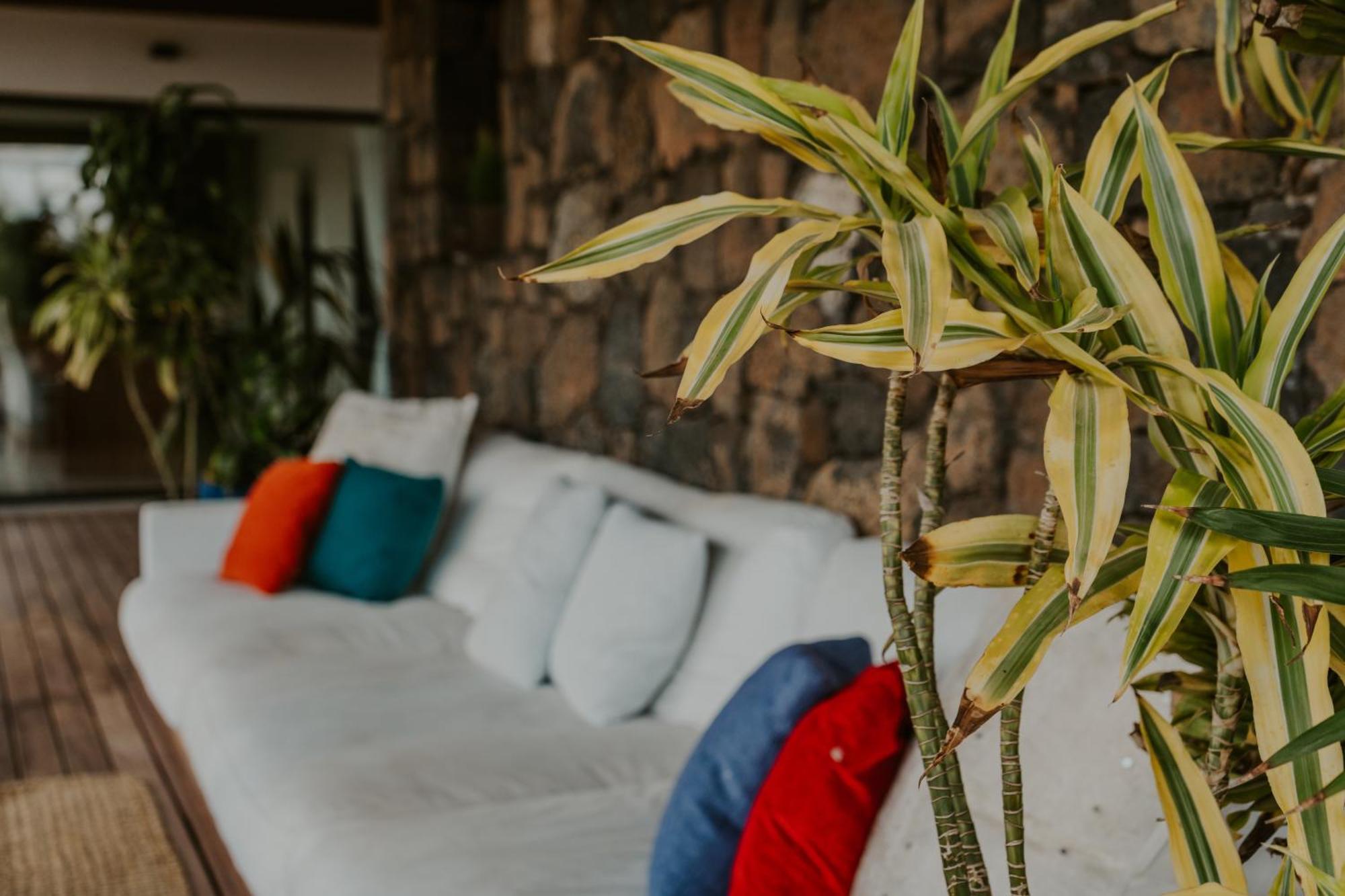 Villa Shepherd Lajares - Luxury Villa Fuerteventura Dış mekan fotoğraf